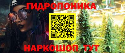 прущие крисы Аргун