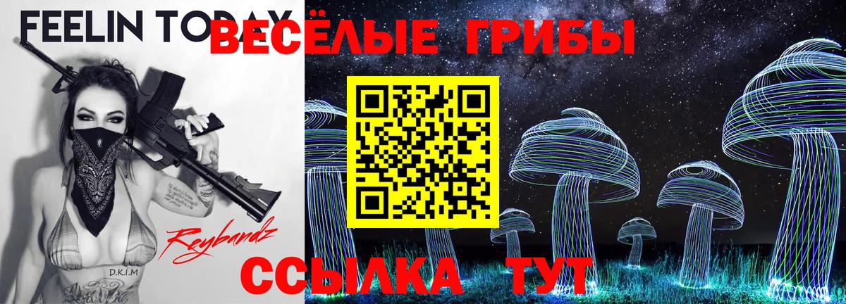 Великий Устюг  Галлюциногенные грибы мухоморы  Галлюциногенные грибы GOLDEN TEACHER  Вход с VPN 