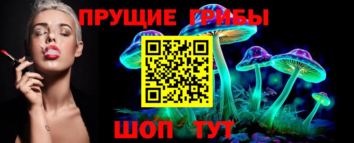 Галлюциногенные грибы мицелий Великий Устюг